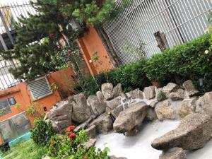 un jardín con rocas y plantas frente a un edificio en Zen Garden Hostel Mirandópolis, en São Paulo