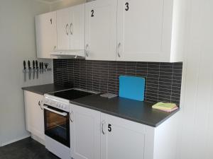 Kuchyň nebo kuchyňský kout v ubytování Lofoten Villa