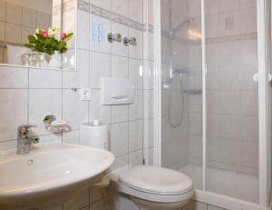 a bathroom with a shower and a toilet and a sink at Haus Hildegard in Bad Füssing