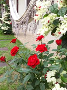 Gallery image of Navega Apart Hotel in Navegantes