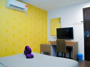TV a/nebo společenská místnost v ubytování Classical Boutique Hotel