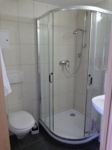 a bathroom with a shower with a toilet and a sink at Hotel Krone in Haigerloch