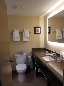 Bagno di Holiday Inn Poughkeepsie by IHG