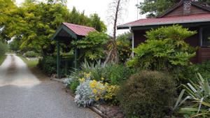 um jardim em frente a uma casa com plantas em Olivista em Masterton