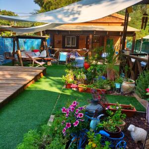 a backyard with a garden with flowers and a house at Libi Bamidbar, Healing & Relaxation Resort in The Dead Sea in Neʼot HaKikar