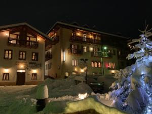 聖洛倫索巴納勒的住宿－聖洛林佐酒店，一群晚上有雪覆盖的树的建筑