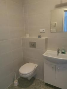 een witte badkamer met een toilet en een wastafel bij Apartamenty Hejszowina in Kudowa-Zdrój