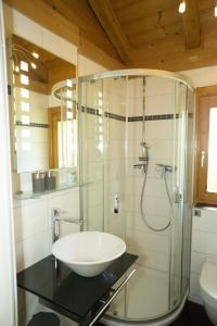 ein Bad mit einem Waschbecken und einer Glasdusche in der Unterkunft Blockhäuser Stamsried in Stamsried
