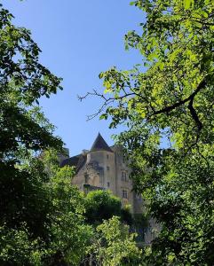 Eine alte Burg wird durch die Bäume gesehen in der Unterkunft Petite maison en pierre au coeur du Périgord noir proche de Sarlat et Rocamadour in Salignac Eyvigues