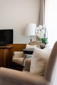 TV a/nebo společenská místnost v ubytování Niemeyers Romantik Posthotel