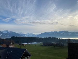 un grand champ vert avec des montagnes en arrière-plan dans l'établissement Landgasthof Krone Bed & Breakfast, à Sankt Gallenkappel