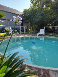 a swimming pool with a bench and flowers at El Rolito in Sierra de la Ventana