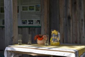 a table with two glasses and a vase on it at Bebru māja - Beaver house in Usma