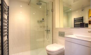 a bathroom with a shower and a toilet and a sink at Foxrock in Windermere +12 photos