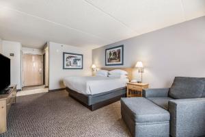 Red Lion Inn & Suites Goodyear في غوديير: غرفه فندقيه بسرير واريكه