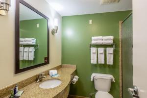 Un baño con lavabo, espejo e inodoro. en Sleep Inn & Suites Ruston Near University, en Ruston 16 fotos más