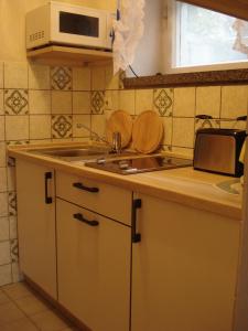 a kitchen with a sink and a microwave at Erzgebirgsdomizil am Schwartenberg in Neuhausen