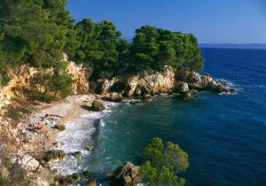 an aerial view of a beach with trees and water at Villa NADA 1 in Podgora
