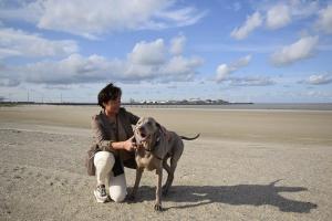 a man sitting on a beach with a dog at Hotel Ter Duinen - La Guera in Knokke-Heist