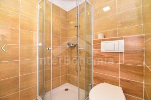 a bathroom with a toilet and a glass shower at penzion Za lávkami in Dačice +40 photos