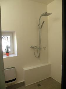 La salle de bains est pourvue d'une douche avec un pommeau de douche. dans l'établissement Maison cocooning, à Roubia