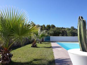 un patio trasero con piscina y algunas plantas y un cactus en location Phoebé dans la propriété Elaia, en Tourouzelle