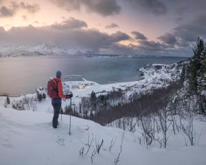 Gallery image of Skagi Bed & Lodge in Skaland