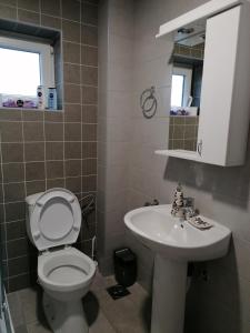 a bathroom with a toilet and a sink at Apartman San in Vrnjačka Banja