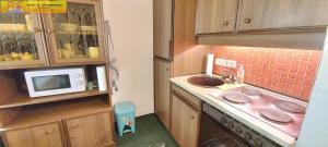 a small kitchen with a sink and a microwave at Apartment Mary by FiS - Fun in Styria in Tauplitz