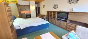 a hospital room with a bed and a flat screen tv at Apartment Mary by FiS - Fun in Styria in Tauplitz