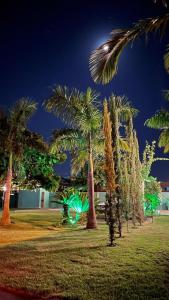 a group of palm trees in a park at night at Toca do Gato in Foz do Iguaçu