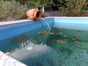A piscina em ou perto de Casa do Passarinho