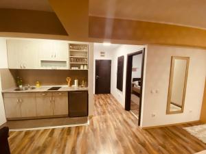 Kuchyň nebo kuchyňský kout v ubytování Ana Luxury Apartment ****