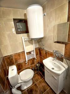 a small bathroom with a toilet and a sink at Старият Дюкянь in Elena +24 photos