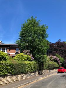 a red car parked on a street next to a tree at Chorlton Garden Rooms. Relax, work, stay and play. in Manchester