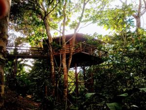 TREEHOUSE PILON PAVONESにある庭