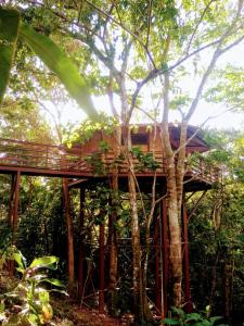 TREEHOUSE PILON PAVONESにある庭