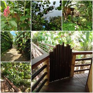 TREEHOUSE PILON PAVONESにある庭