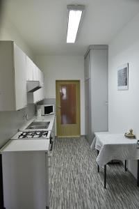 Apartmán Náměstí Hostinné tesisinde mutfak veya mini mutfak