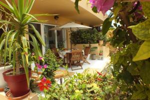 コラレホにあるCasa Dan "Residencial Las Dunas"の鉢植えの植物とテーブルと椅子が備わるパティオ