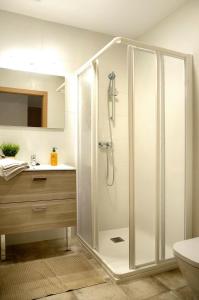 a bathroom with a shower and a sink at Casa Rural Andikoetxe Landetxea in Aulestia