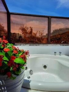 Fotografija v galeriji nastanitve Pipa Ubaia 219 com solarium v mestu Pipa