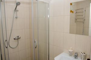 a bathroom with a shower with a sink and a toilet at Ластівчине гніздо in Shaian