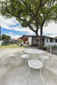 une table et des chaises blanches sous un arbre dans l'établissement La Maison des Oeillets Aéroport Roland Garros, à Sainte-Marie