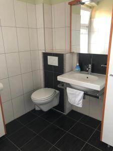 a bathroom with a toilet and a sink at Ferienwohnung Am Anger in Naumburg