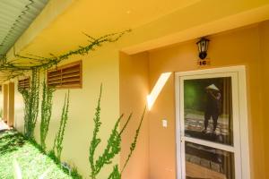 Zahrada ubytování Mango Beach Resort