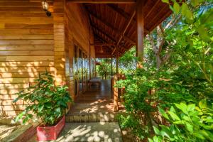 Zahrada ubytování Mango Beach Resort