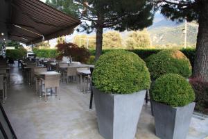 dois grandes plantadores de betão com arbustos num restaurante em Hotel Du Soleil em Saint-Léonard