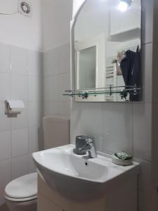 a bathroom with a sink and a toilet and a mirror at Cocooning in a Lovely Mountain suite - Two in Azuga