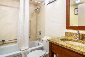 a bathroom with a shower, sink, and toilet at Comfort Inn Denver Central in Denver